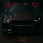 Pochette LOOP — Dead